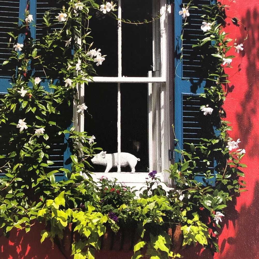 Photography Art Canvas 20x16